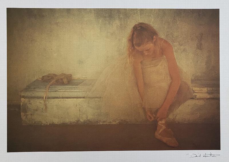 HAMILTON PICTURES BY DAVID HAMILTON ｜本、雑誌